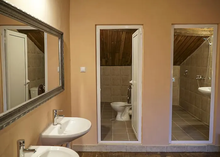 Rooster * Veliko Tarnovo