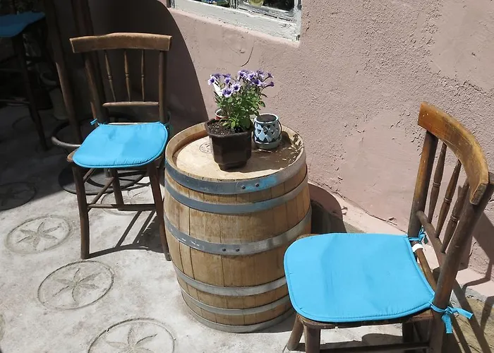 鲁斯特旅舍 旅馆 *