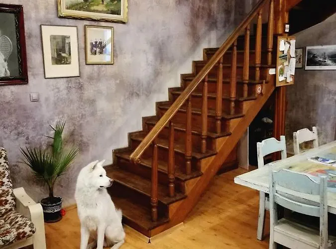 Vandrarhem Rooster Veliko Tărnovo